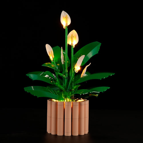 LED Light Kit for Peace Lily #11504