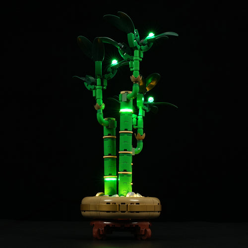 Light Kit For The Lucky Bamboo #10344