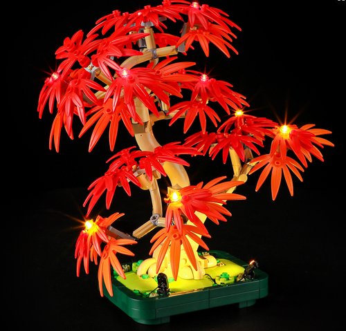 Light Kit For The Japanese Red Maple Bonsai Tree #10348
