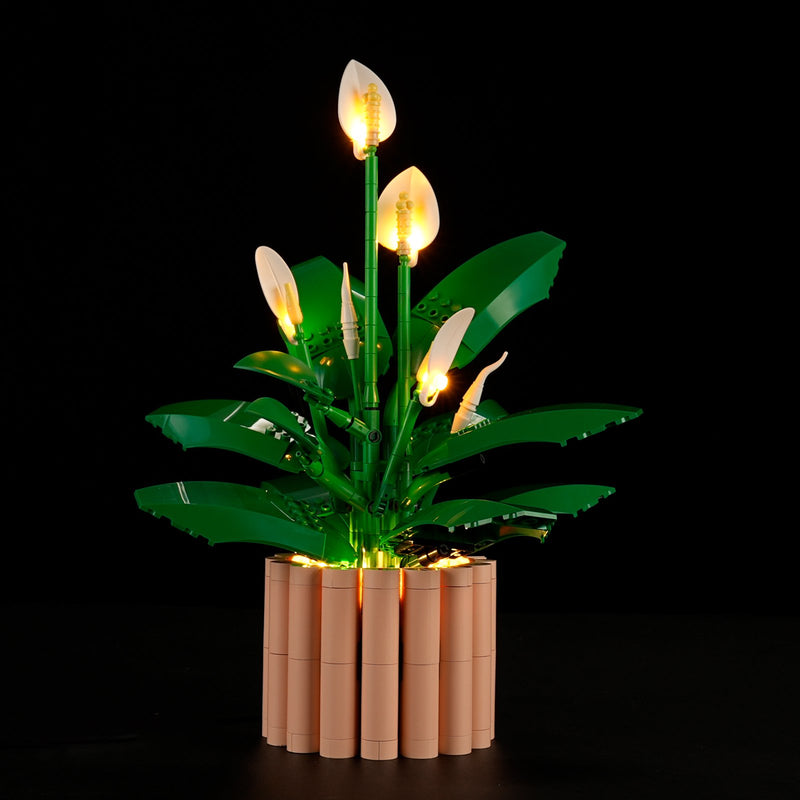 LED Light Kit for Peace Lily #11504