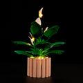 LED Light Kit for Peace Lily #11504