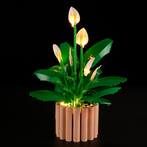 Light Kit For The Peace Lily #11504