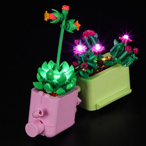 LED Light Kit for Rocking Plants #11506