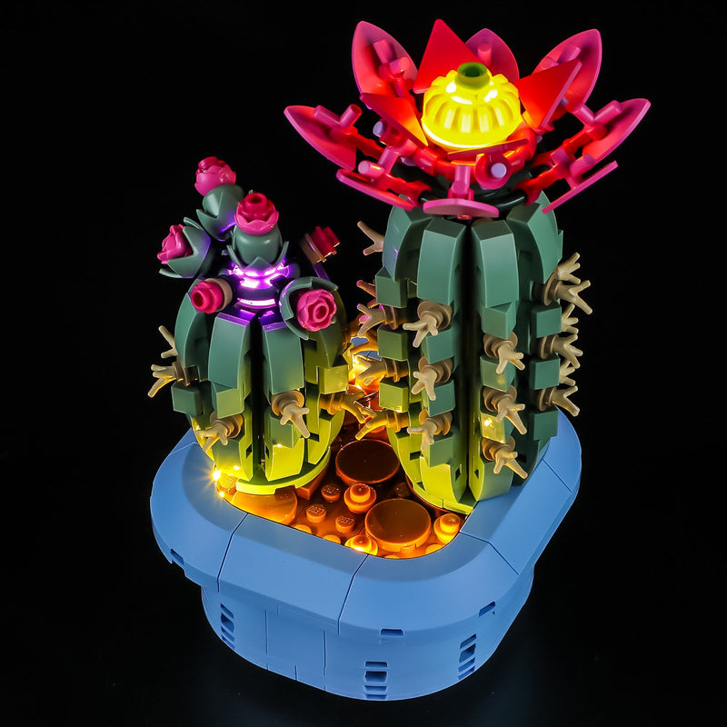 LED Light Kit for Flowering Cactus #11509