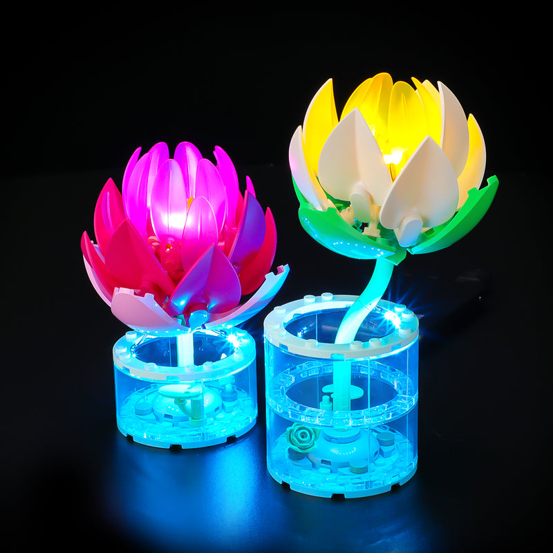 Light Kit For The Water Lilies #11511
