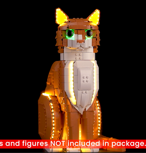 Light Kit For The Orange Cat #21376