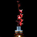 Light Kit For The Plum Blossom #10369