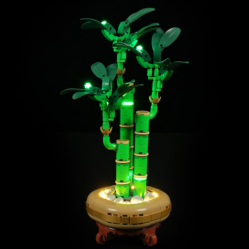 Light Kit For The Lucky Bamboo #10344