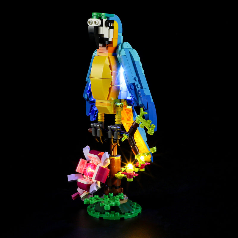 Light Kit For The Exotic Parrot #31136