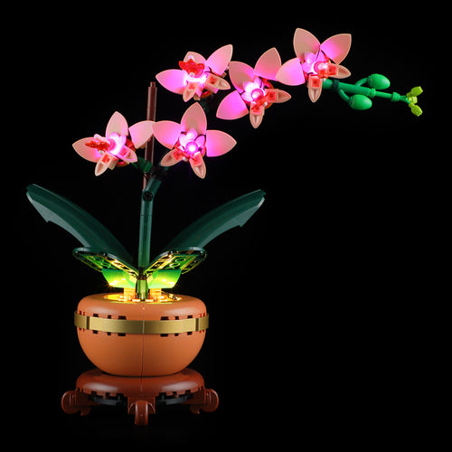 Light Kit For The Mini Orchid #10343