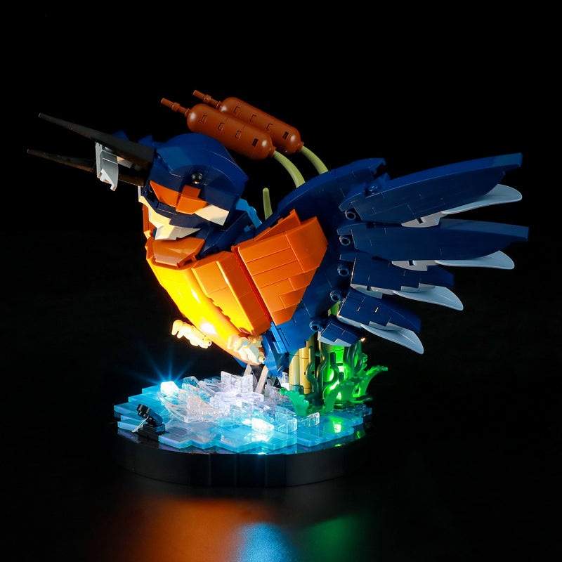Light Kit For The Kingfisher Bird #10331