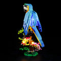 Light Kit For The Exotic Parrot #31136