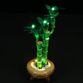 Light Kit For The Lucky Bamboo #10344