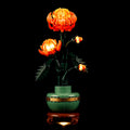 Light Kit For The Chrysanthemum #10368