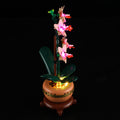 Light Kit For The Mini Orchid #10343