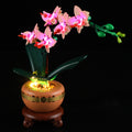 Light Kit For The Mini Orchid #10343
