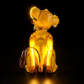 Light Kit For The Young Simba the Lion King #43247